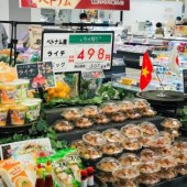 Vải thiều Lục Ngạn xuất khẩu sang thị trường Nhật Bản